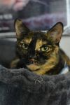 Hilda photo 2