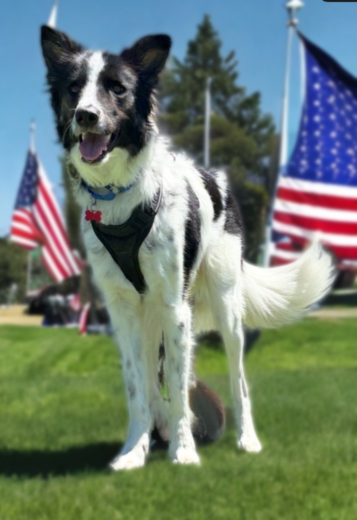 Rucker (Milo)