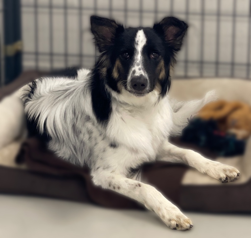 Rucker (Milo)