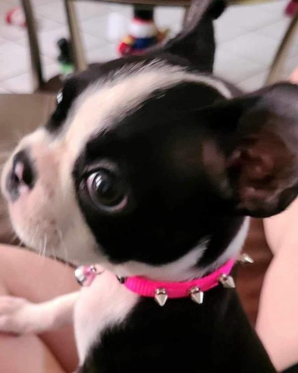 Fiona thumbnail 3