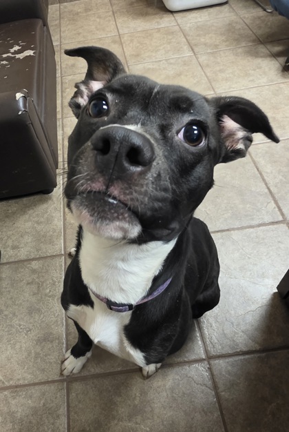 Lucy
