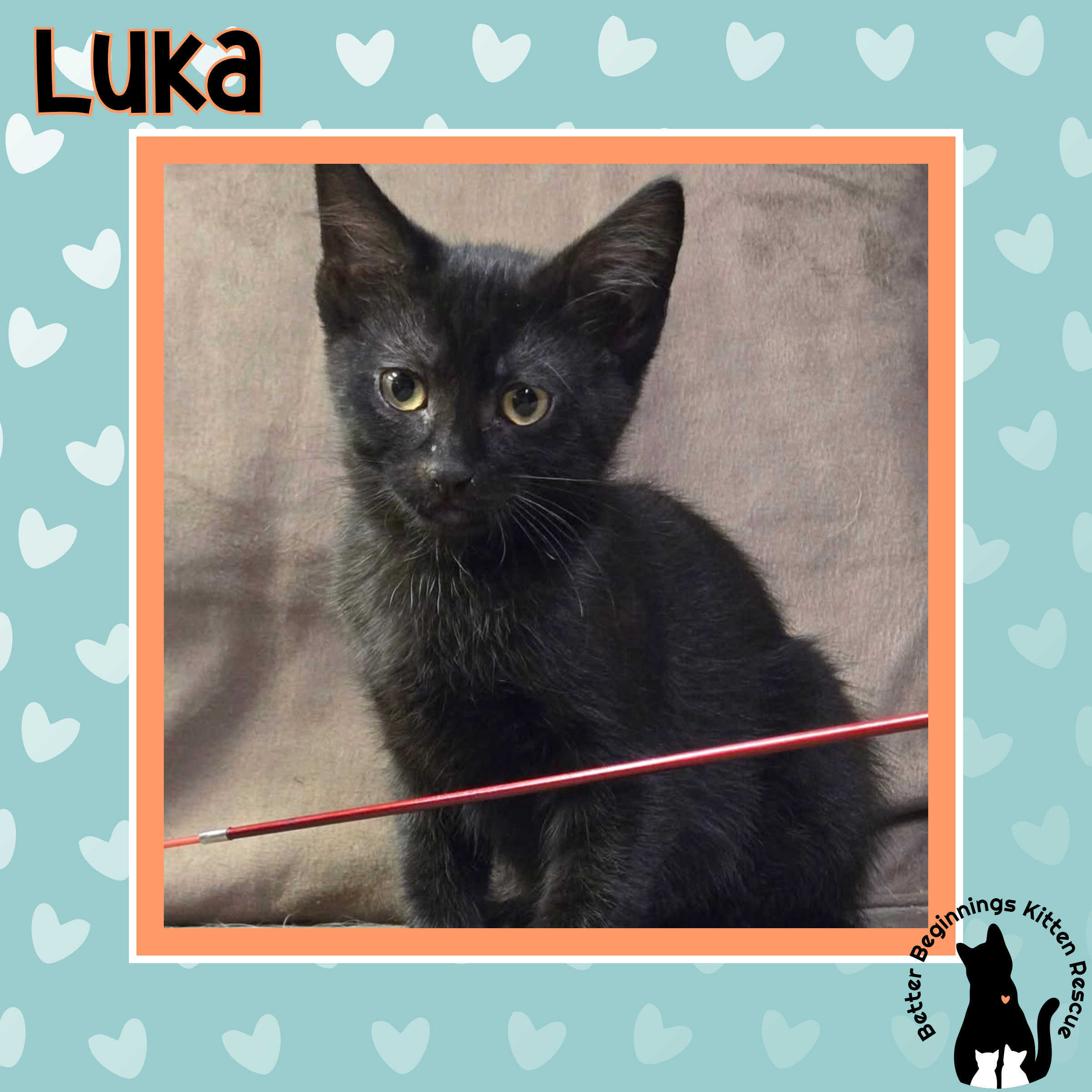 Luka
