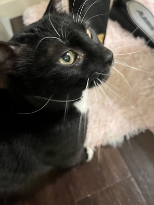 Marvin