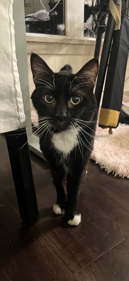 Marvin
