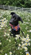 Max photo 1