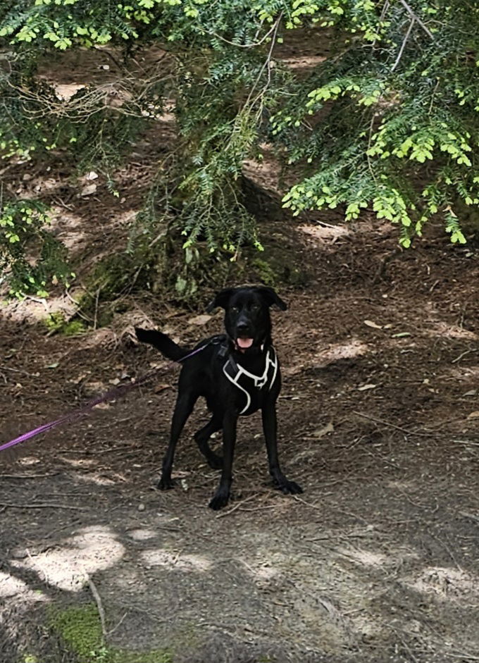 Max