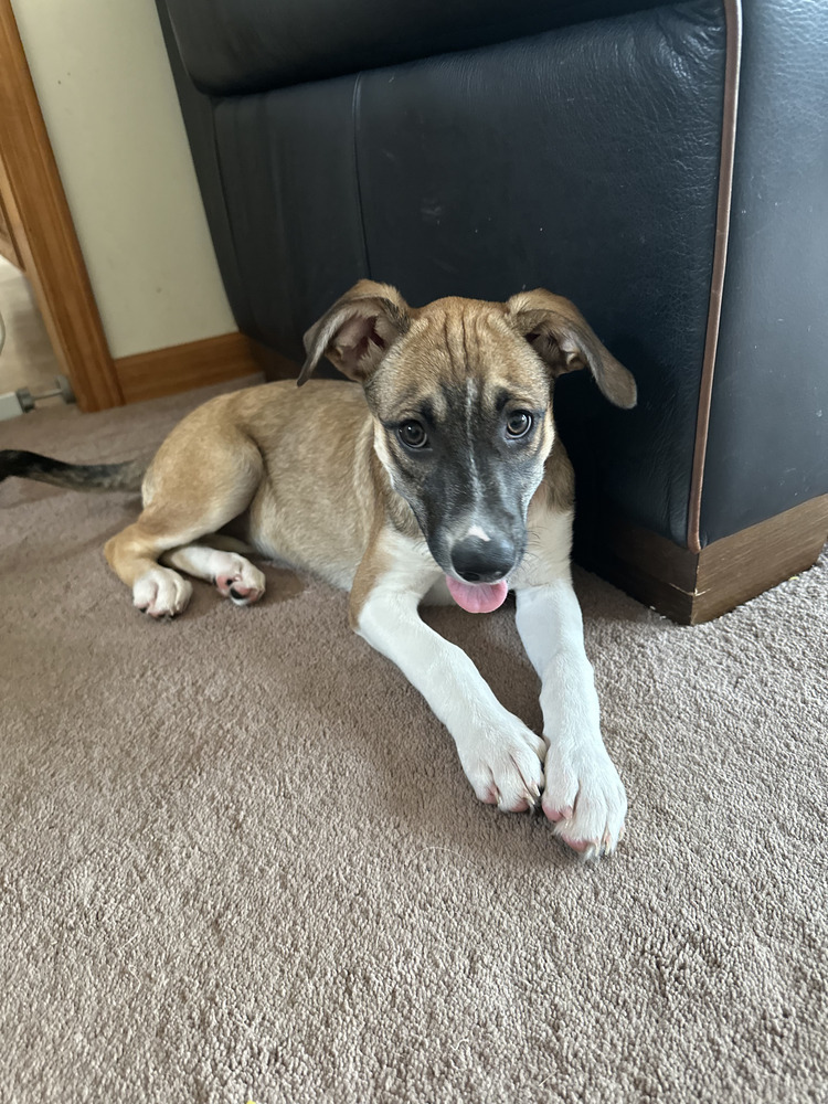 Embrace (E Siblings)