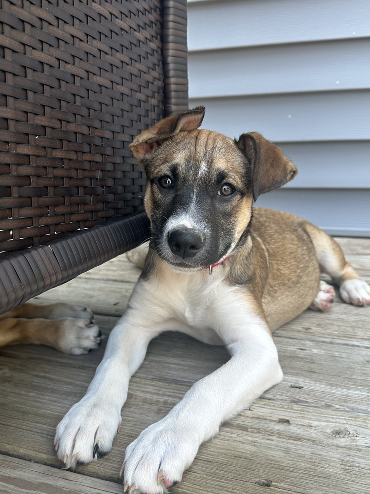 Embrace (E Siblings)