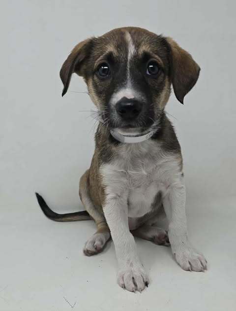 Embrace (E Siblings)