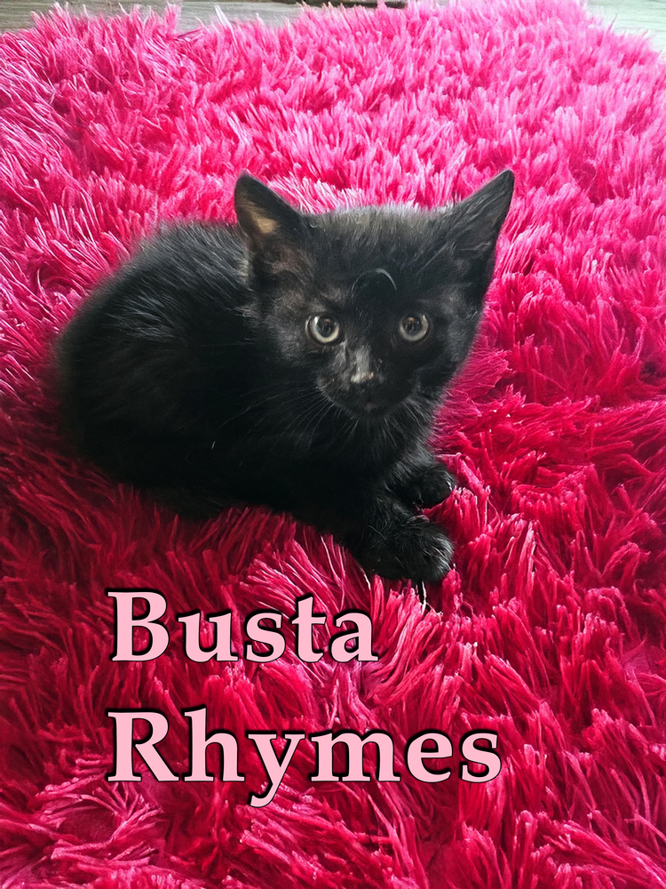 Busta Rhymes
