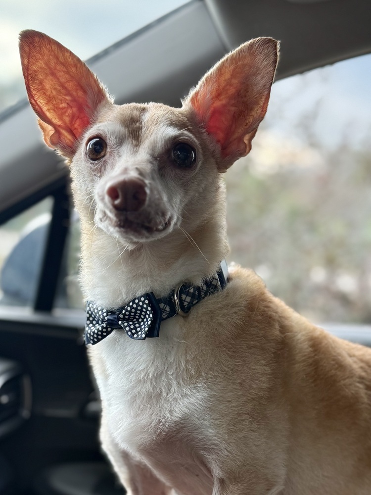 Max
