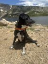 Darla photo 5