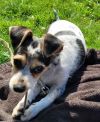 Boudreaux photo 5