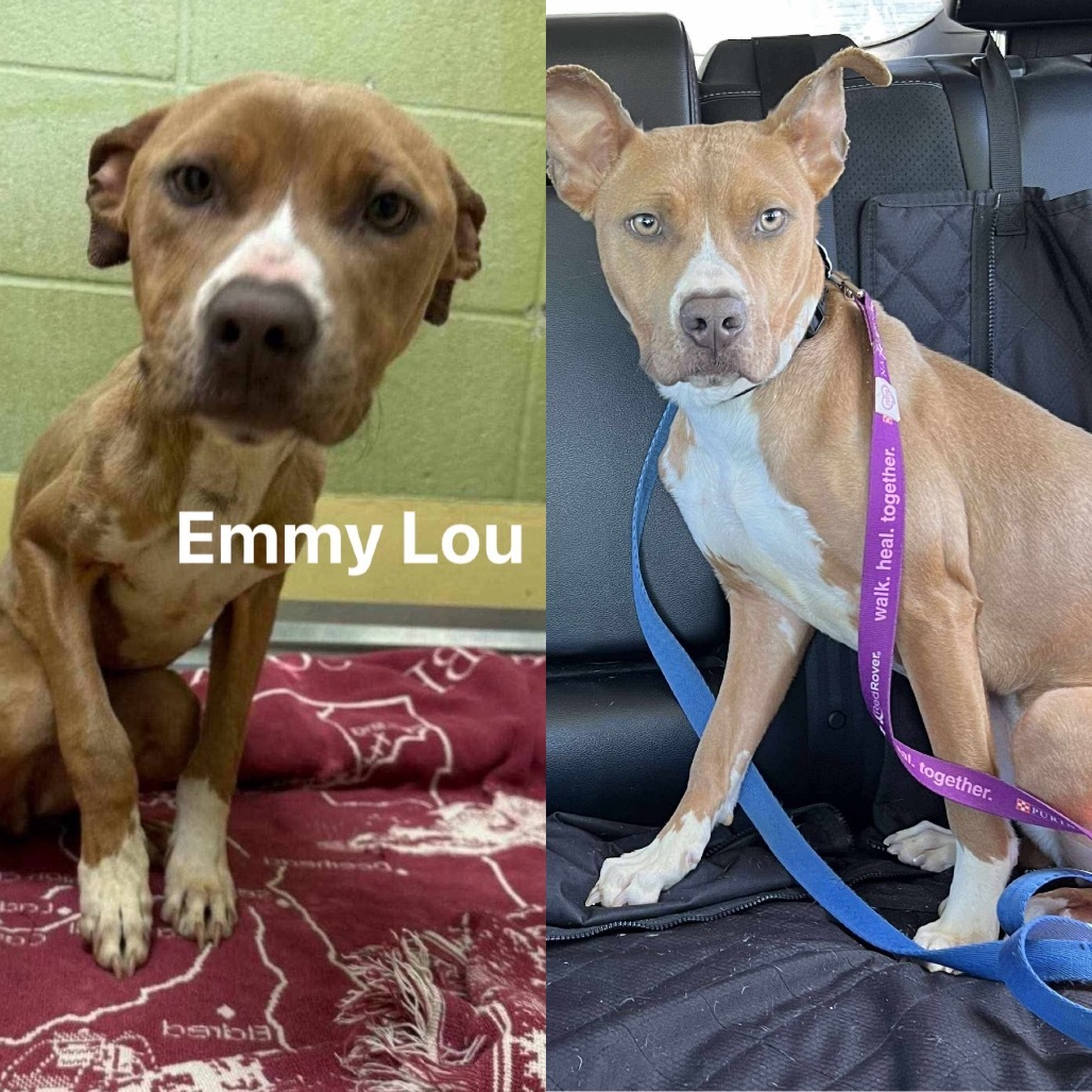 Emmy Lou