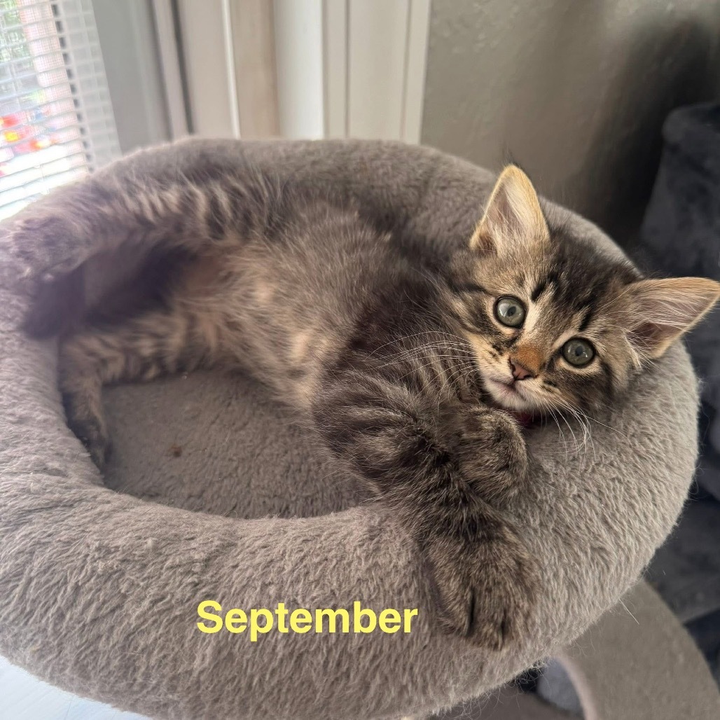 September