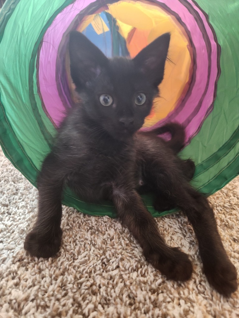 Huey