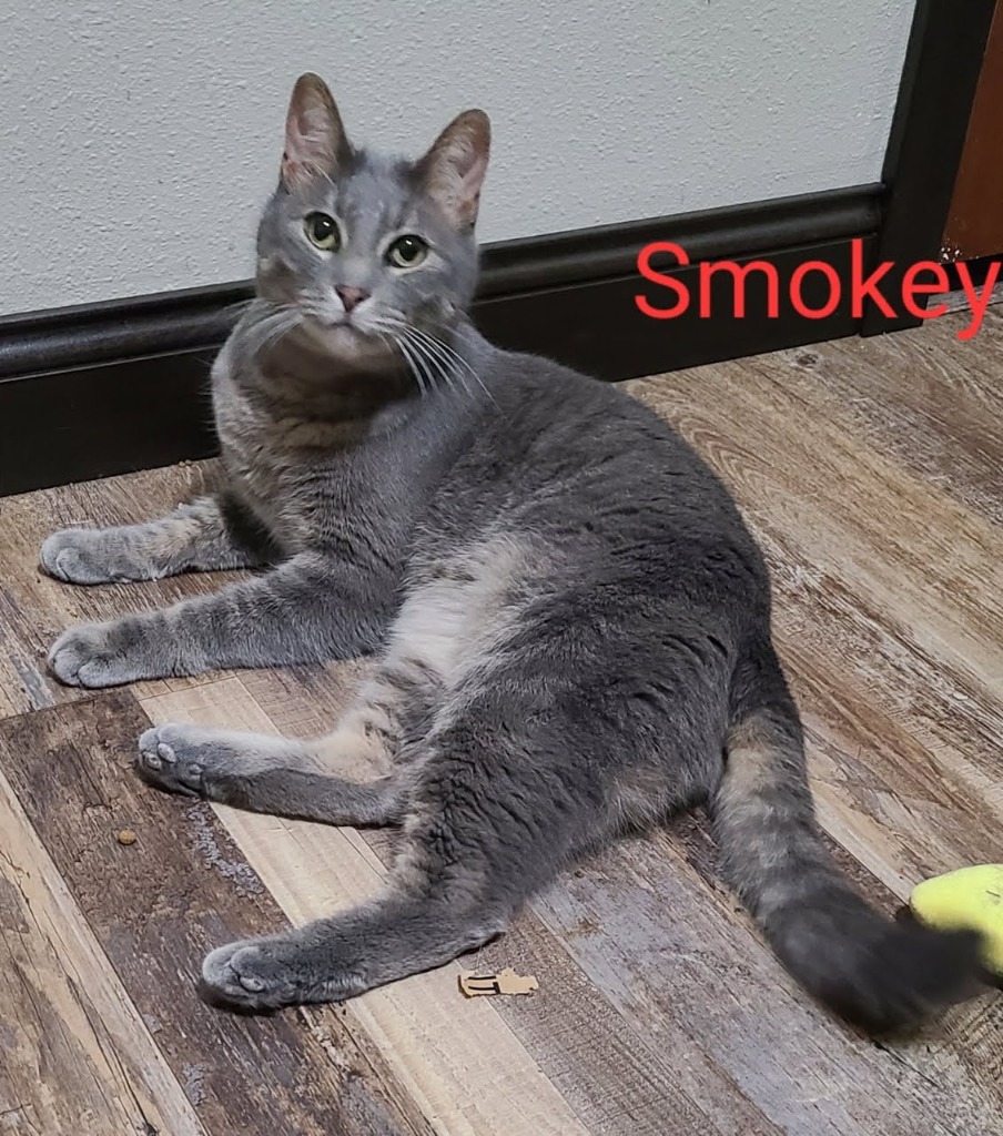 Smokey