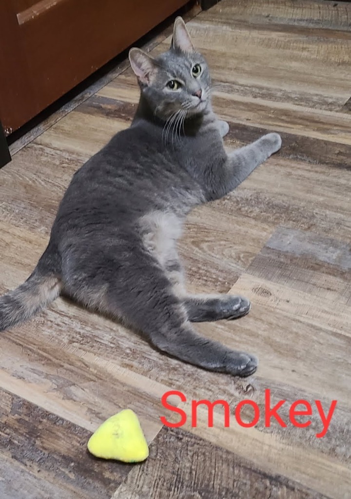 Smokey