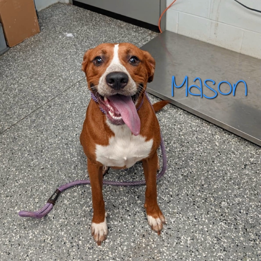 Mason