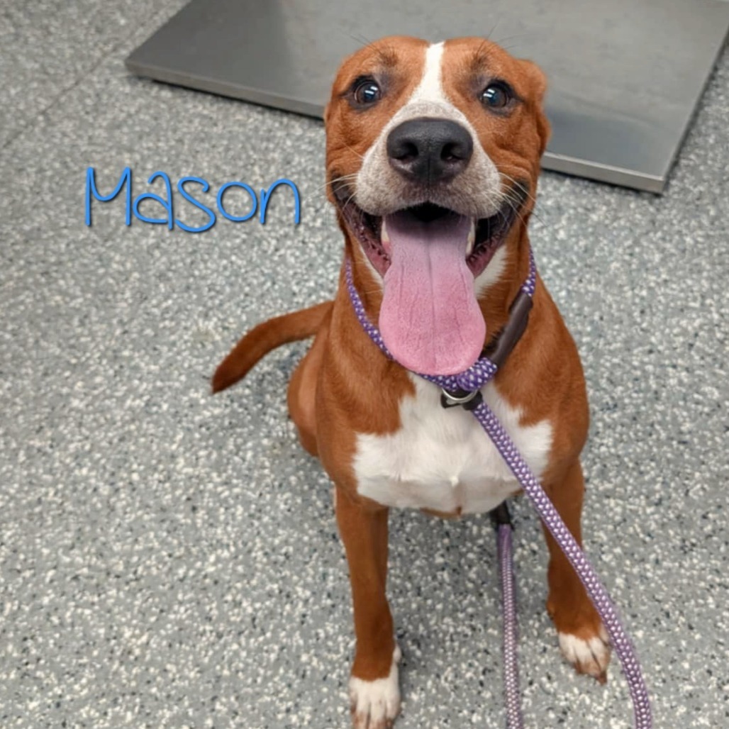 Mason