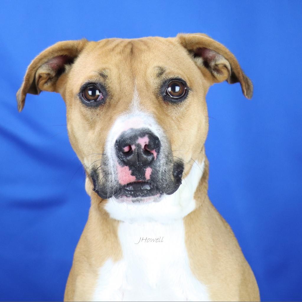 Cutie Pie - 080104T-2