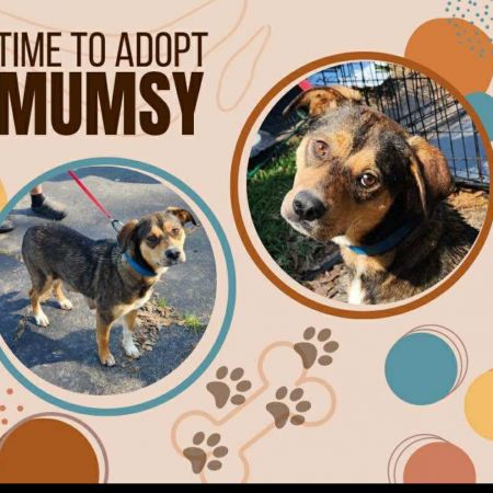 Mumsy photo