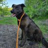 Meeka photo 2
