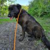 Meeka photo 3