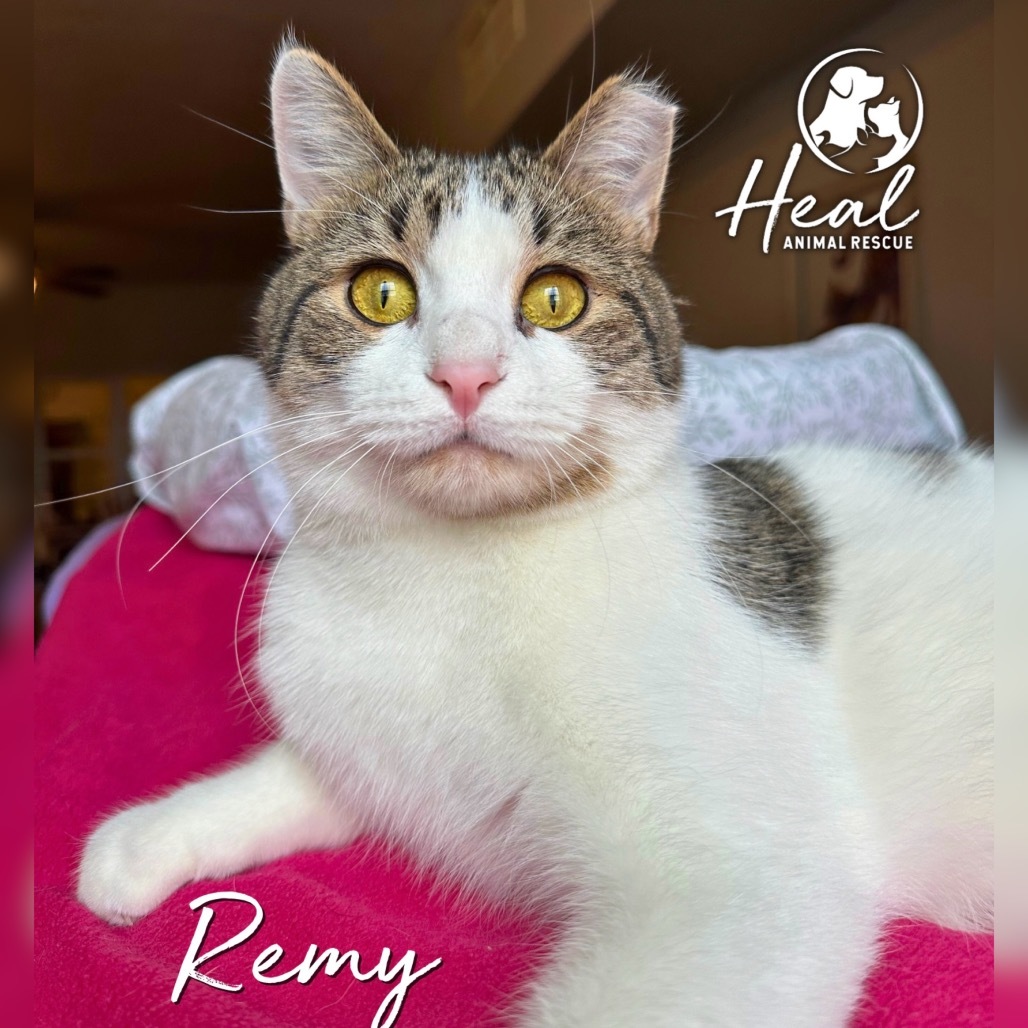 Remy