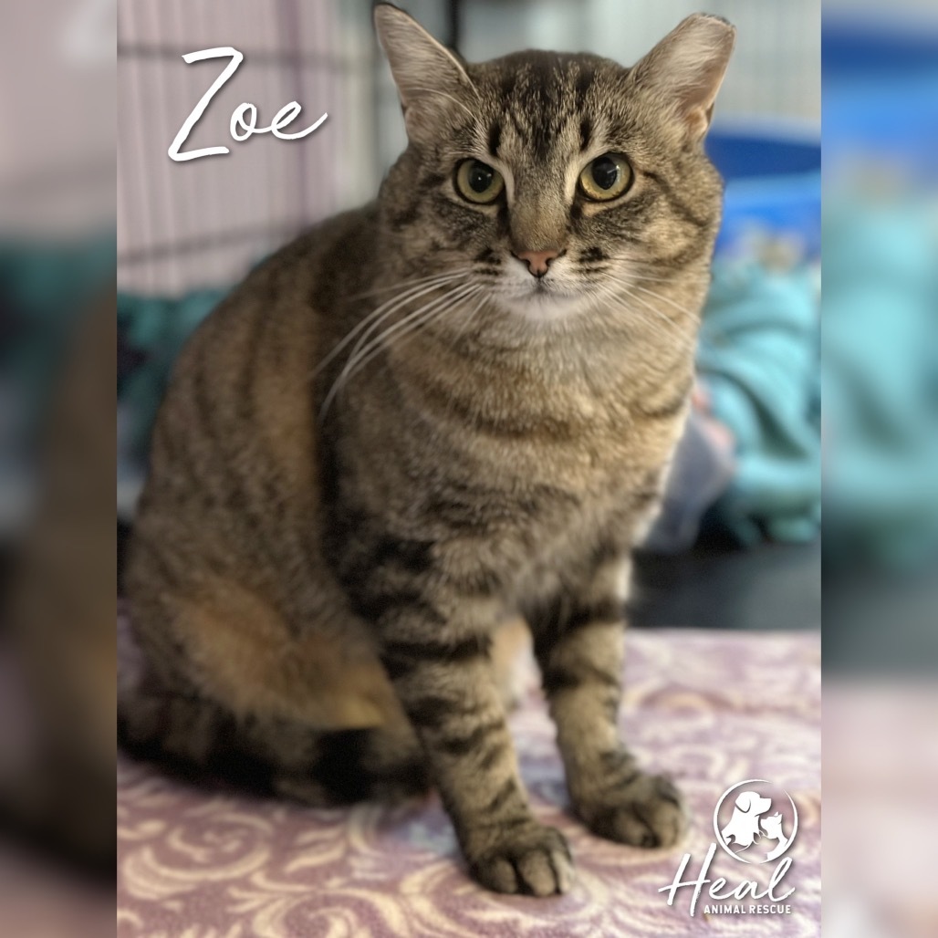 Zoe