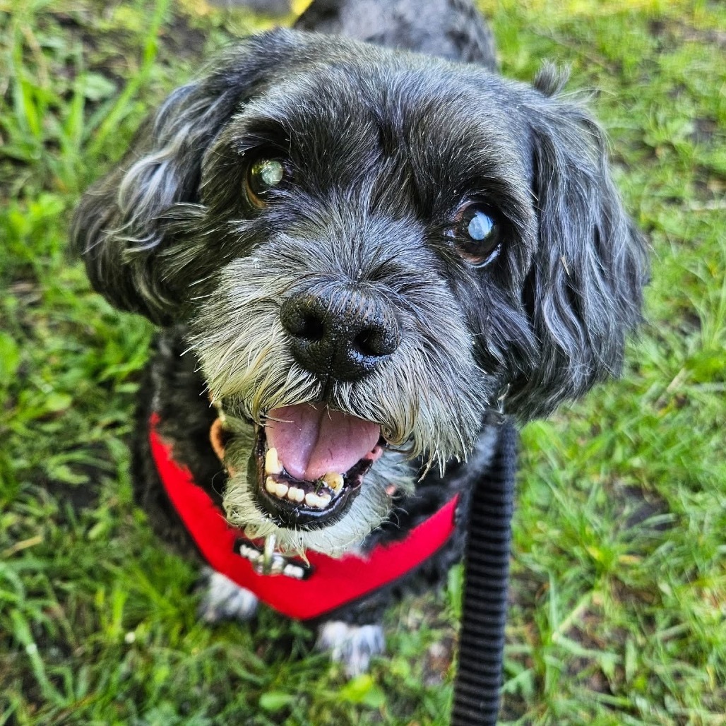 Charlie