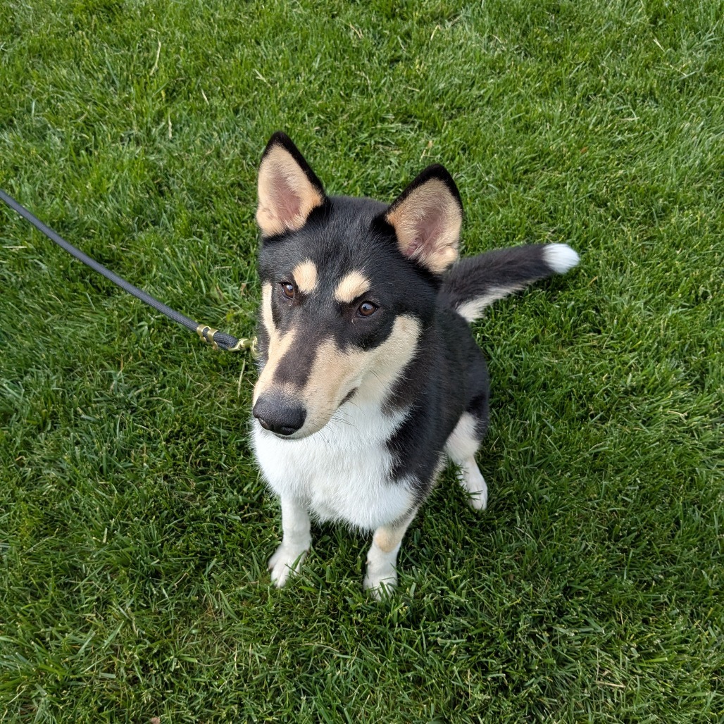 Aspen