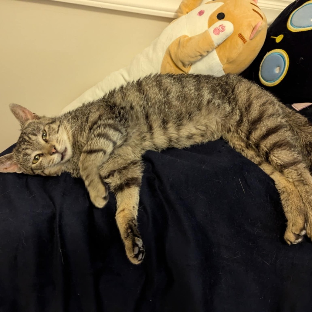 Arthur