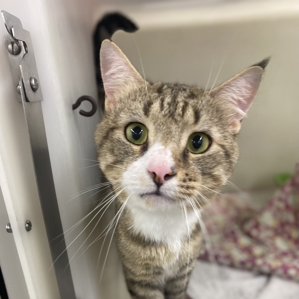 Tom