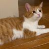 Rocky - Home to Home photo 1