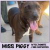 Miss Piggy photo 2