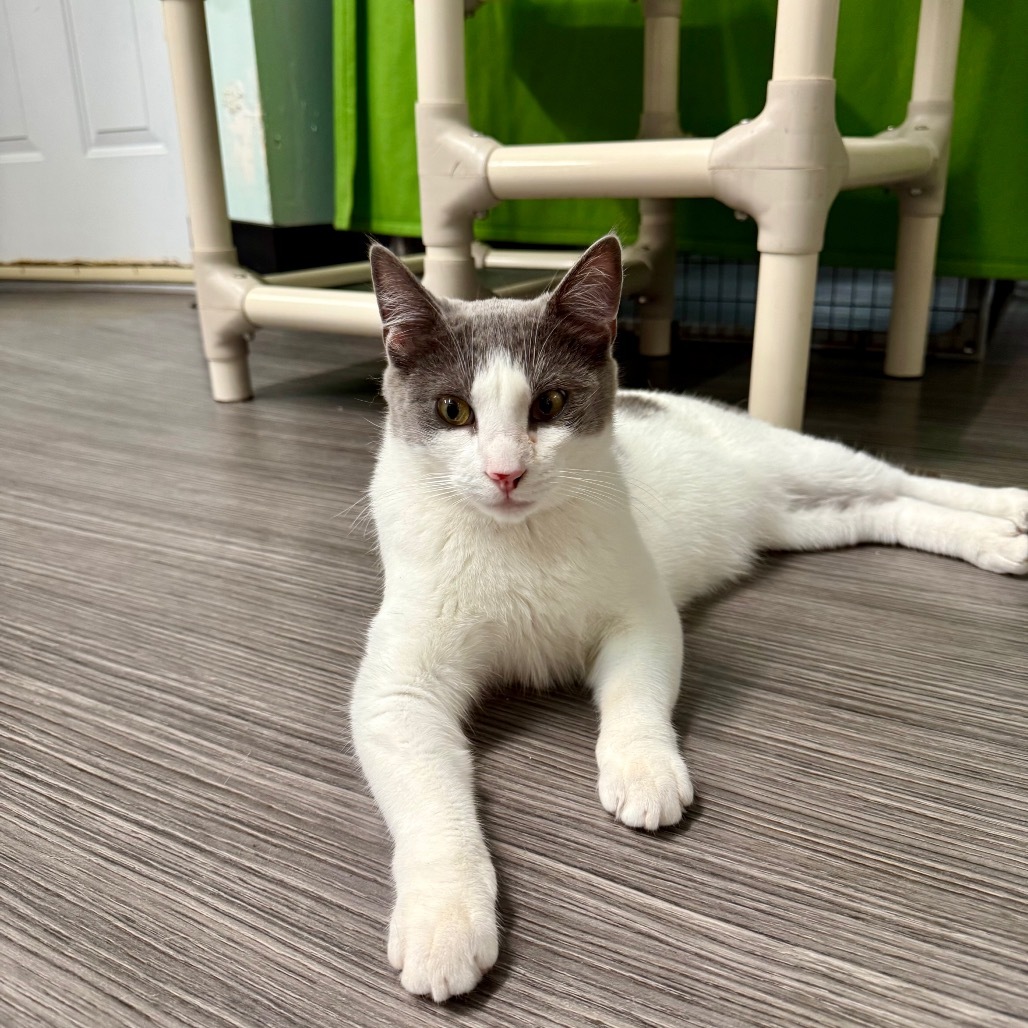 Ripley