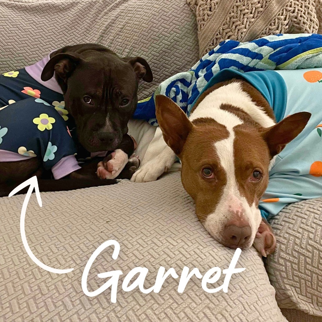 Garret