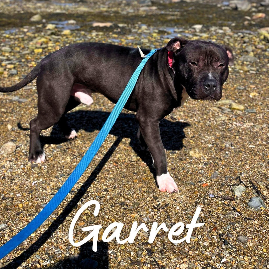 Garret