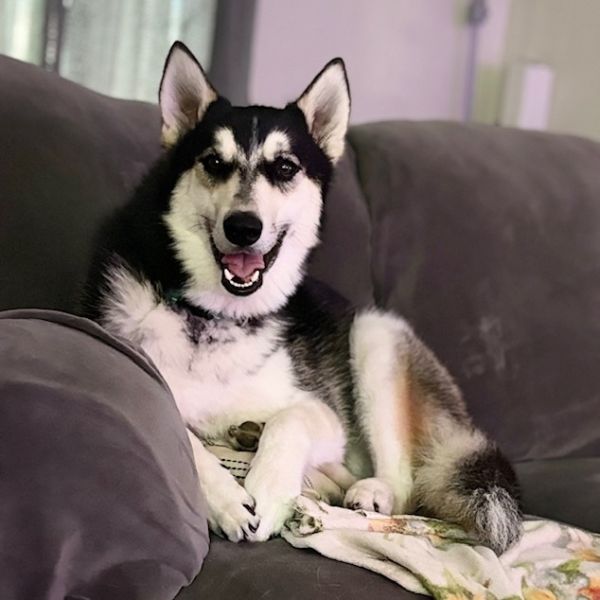 Bolt And Ace photo 1