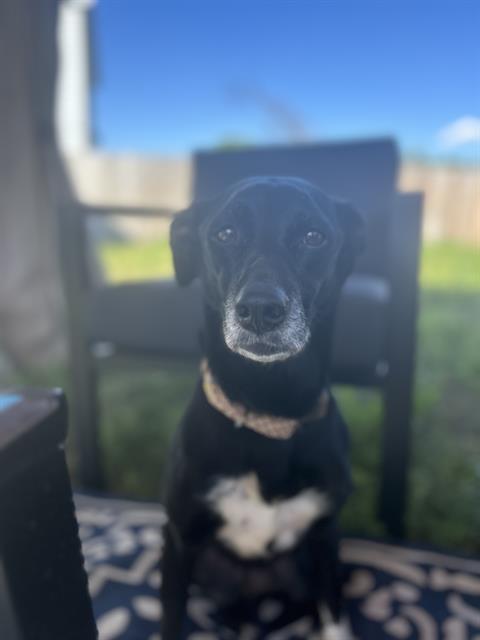 SKYE