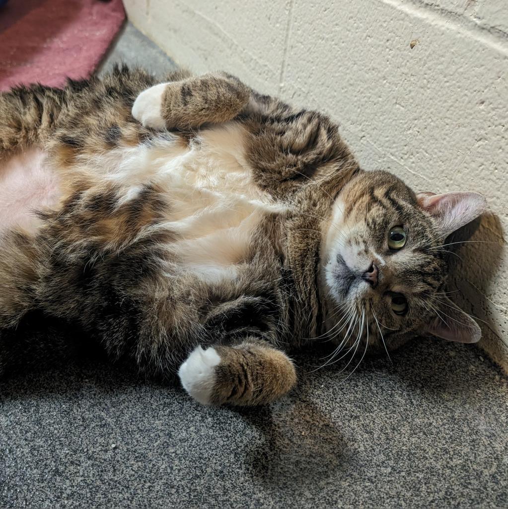 Princess-Foster