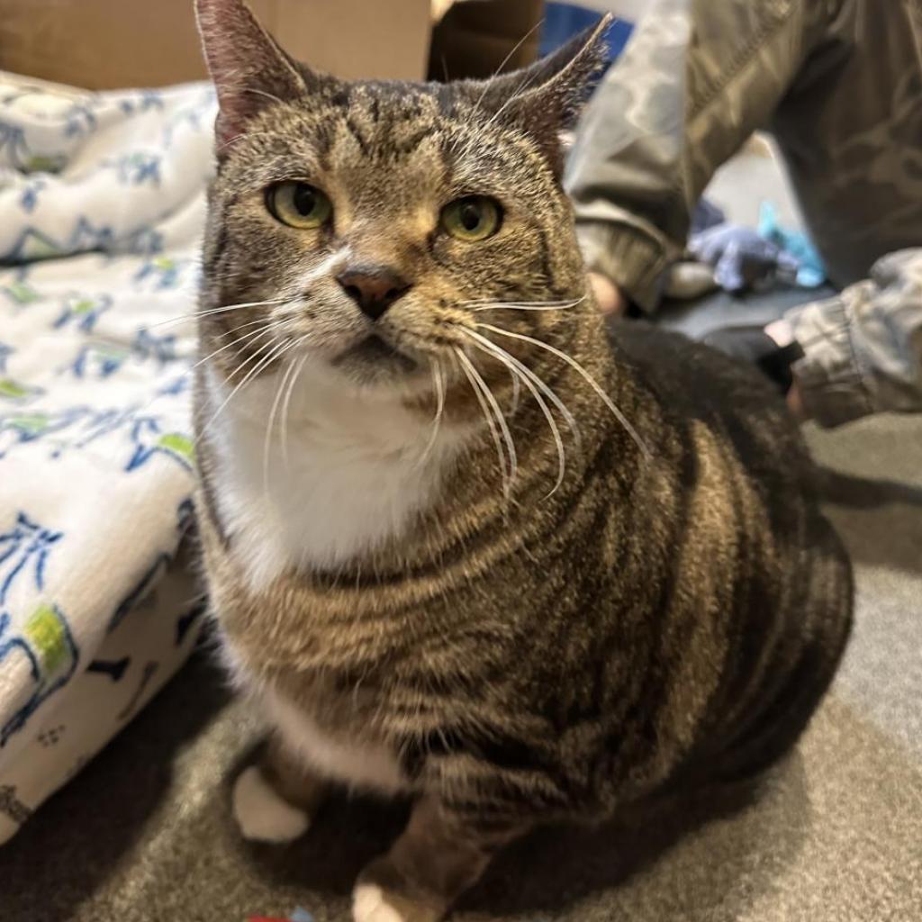 Princess-Foster