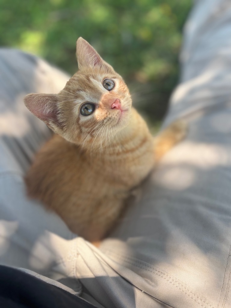 Peach