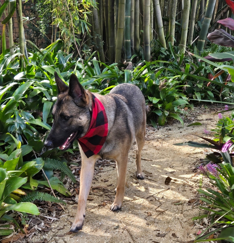 Malee - Located in Florida