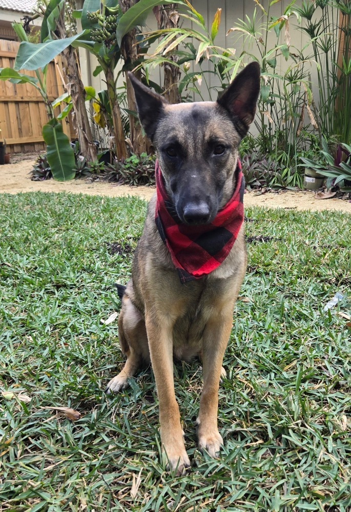 Malee - Located in Florida