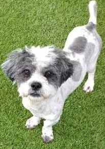 Sam