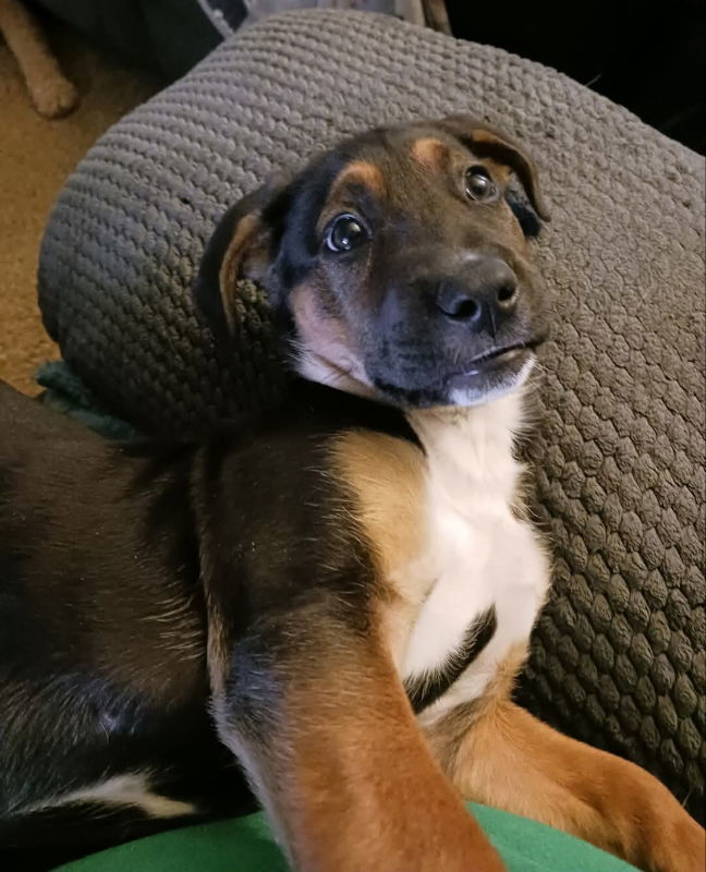 Agatha