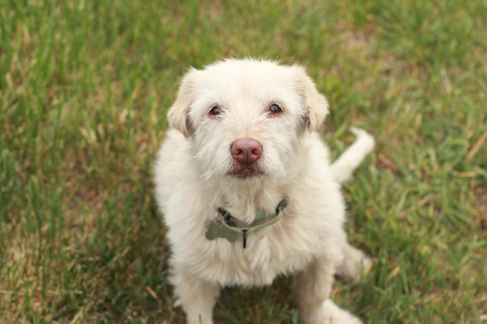 Delilah