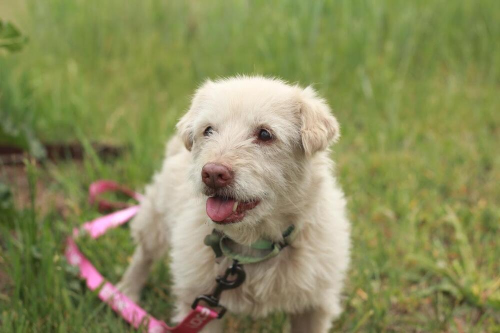 Delilah
